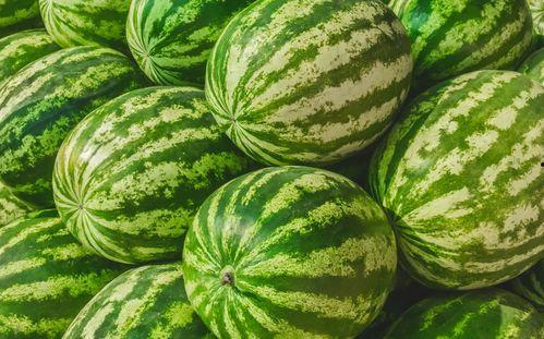 上海路吃瓜视频在哪看,热门平台一网打尽