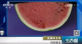 西瓜视频吃瓜不吐籽,吃瓜不吐籽，畅享欢乐时光