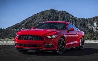 粉红小野马吃瓜视频,揭秘娱乐圈幕后真相