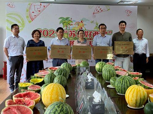 常熟公园吃瓜视频,一场引发网友热议的街头奇观