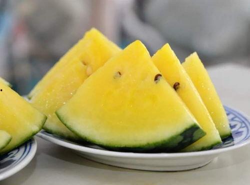 舌尖上的吃瓜视频,揭秘网红美食背后的故事