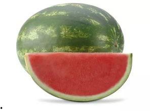 吃瓜吃坏肚子视频大全图片