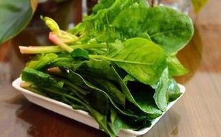 菠菜视频吃瓜,揭秘娱乐圈吃瓜背后的真相