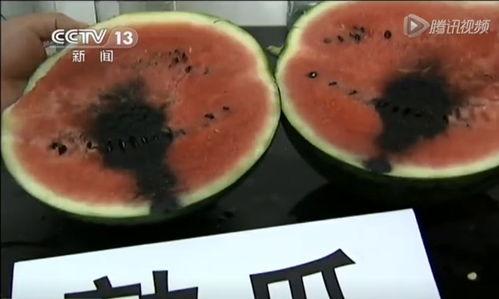 和其正吃瓜视频,揭秘娱乐圈幕后故事