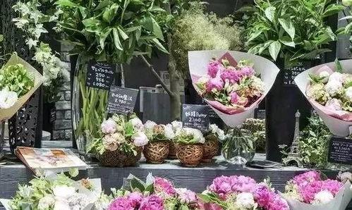 河北花店吃瓜视频,一场意外的“瓜界盛宴”