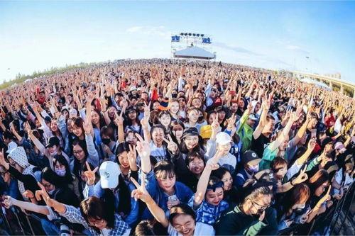 麦田音乐节视频吃瓜撒钱,吃瓜撒钱，全民嗨翻！