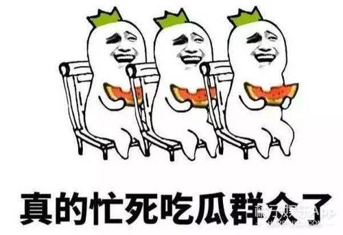 这届吃瓜群众视频