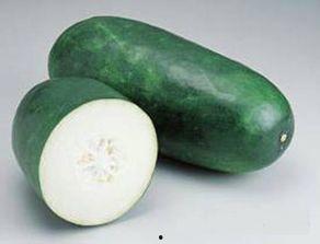 胖子吃蜜瓜视频大全