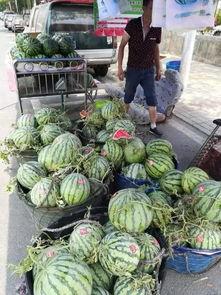 广德吃瓜事件视频最新,视频揭露惊人真相，网友热议不断