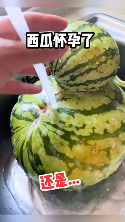 吃瓜视频配谁的,揭秘娱乐圈幕后故事