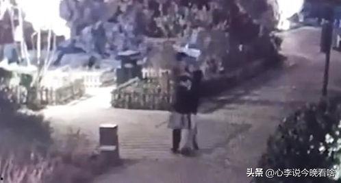 许昌理性吃瓜事件视频,网络舆论的理性之光