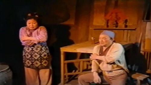 两夫妻找鸭子吃瓜视频播放,找鸭子吃瓜，视频播放引网友热议