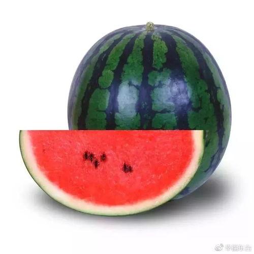 东台吃瓜比赛视频播放下载,全民狂欢，瓜果飘香，精彩瞬间回顾